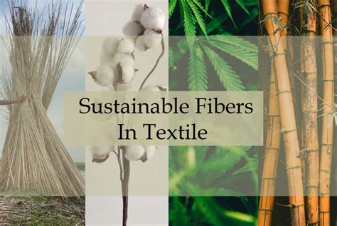 Bast Fiber Innovations: Exploring Sustainable Textile Solutions for Apparel and Beyond!