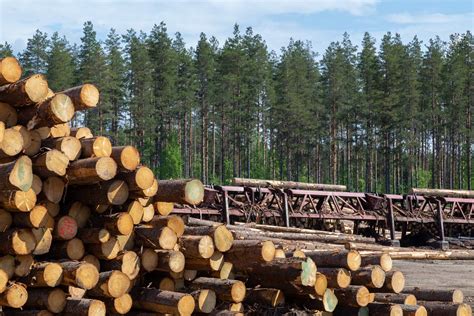  Jalopyyrinitoli – Tärkeä raaka-aine muoviteollisuudessa ja vahvistinmateriaaleissa!