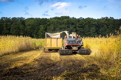 Jute – Luja ja Kestävä Kasviskuitu Teollisuuden Tarpeisiin!